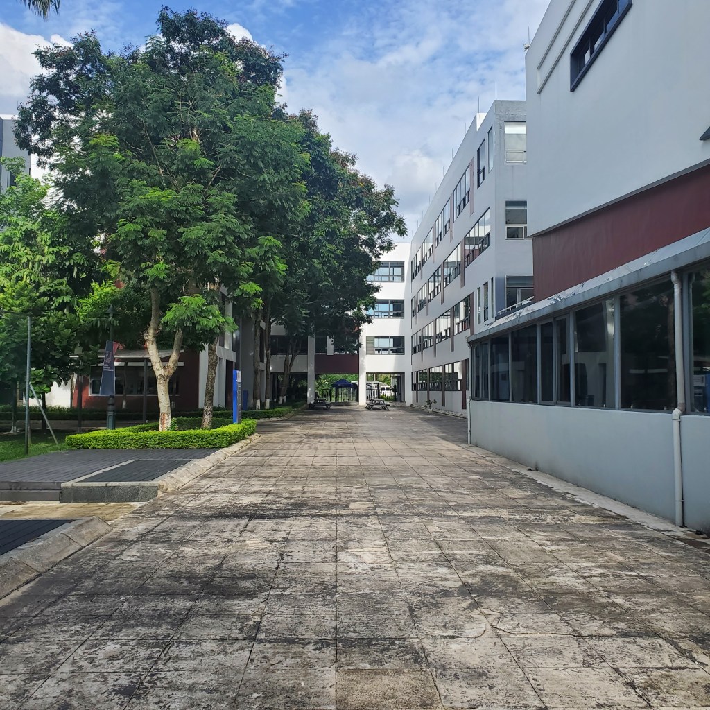 Cutting into my Yoga and&nbsp;Smoothies