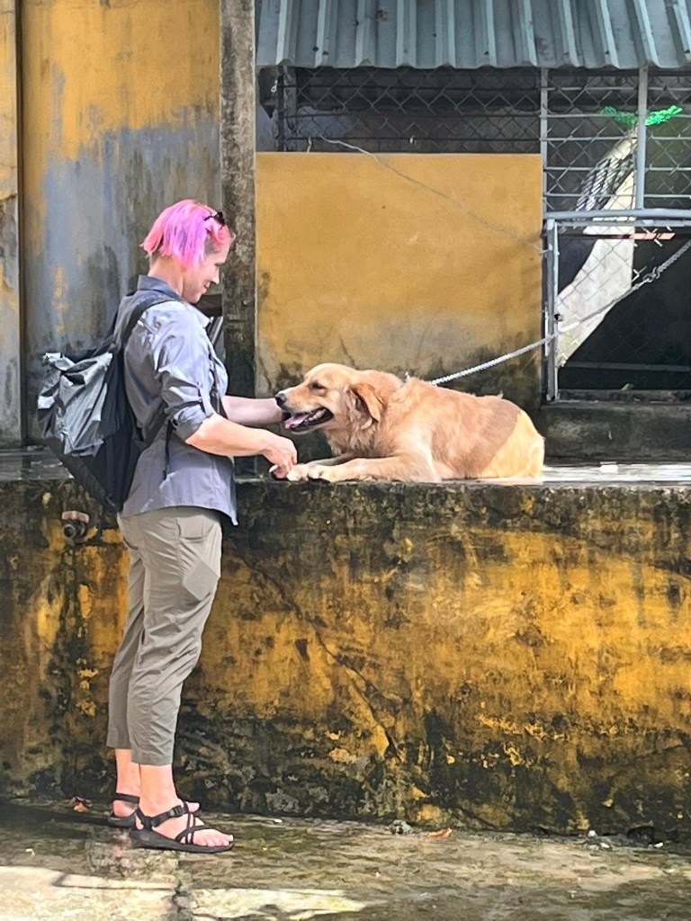 temple dog hoi an