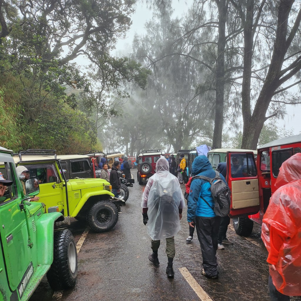 Mt. Bromo Jeeps