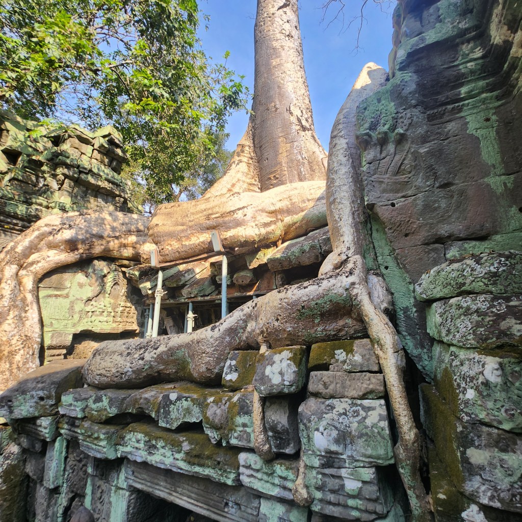 Ta Prohm Temple