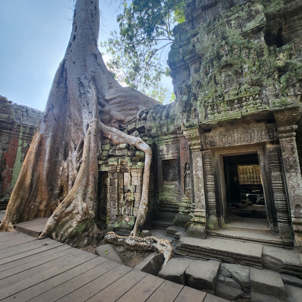 Ta Prohm Temple