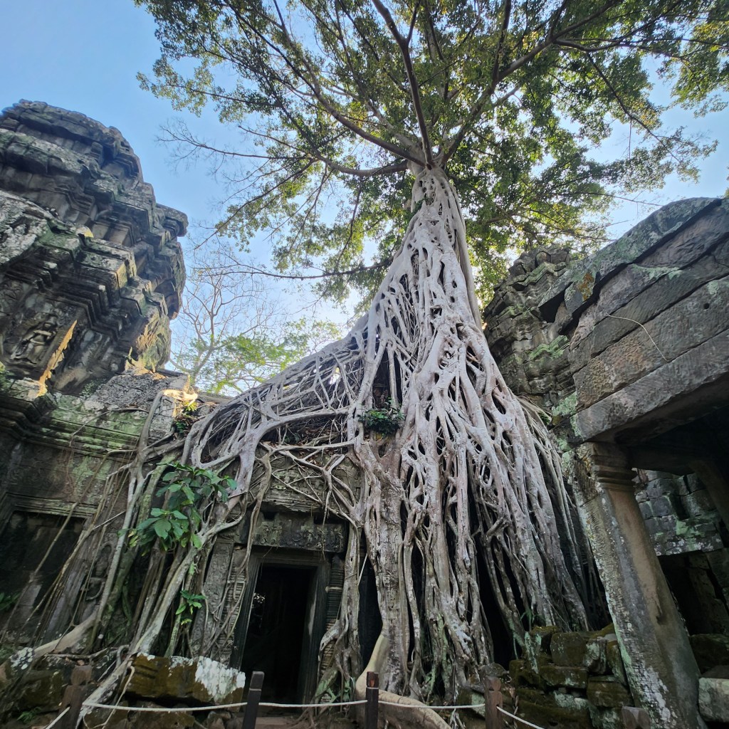 Ta Prohm Temple