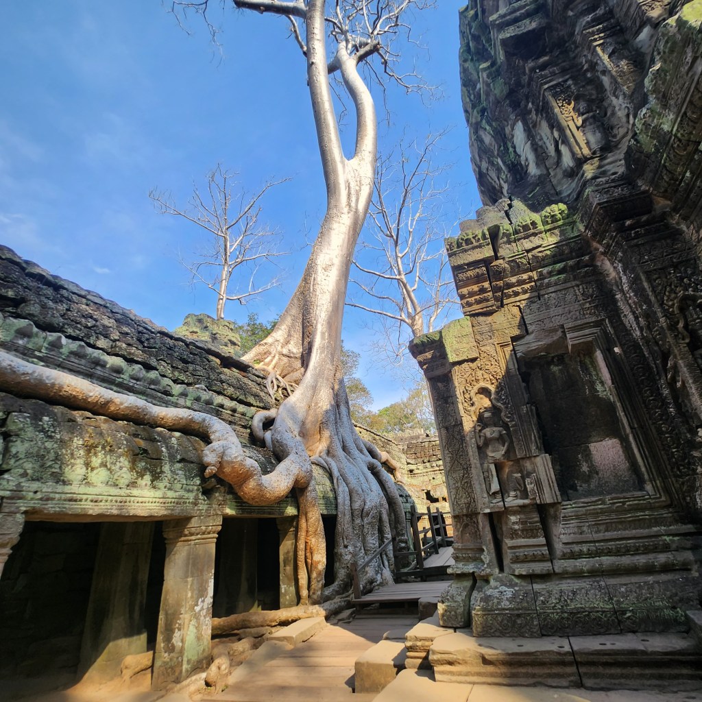 Ta Prohm Temple