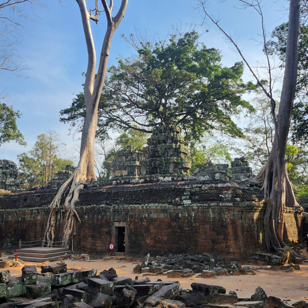 Ta Prohm Temple