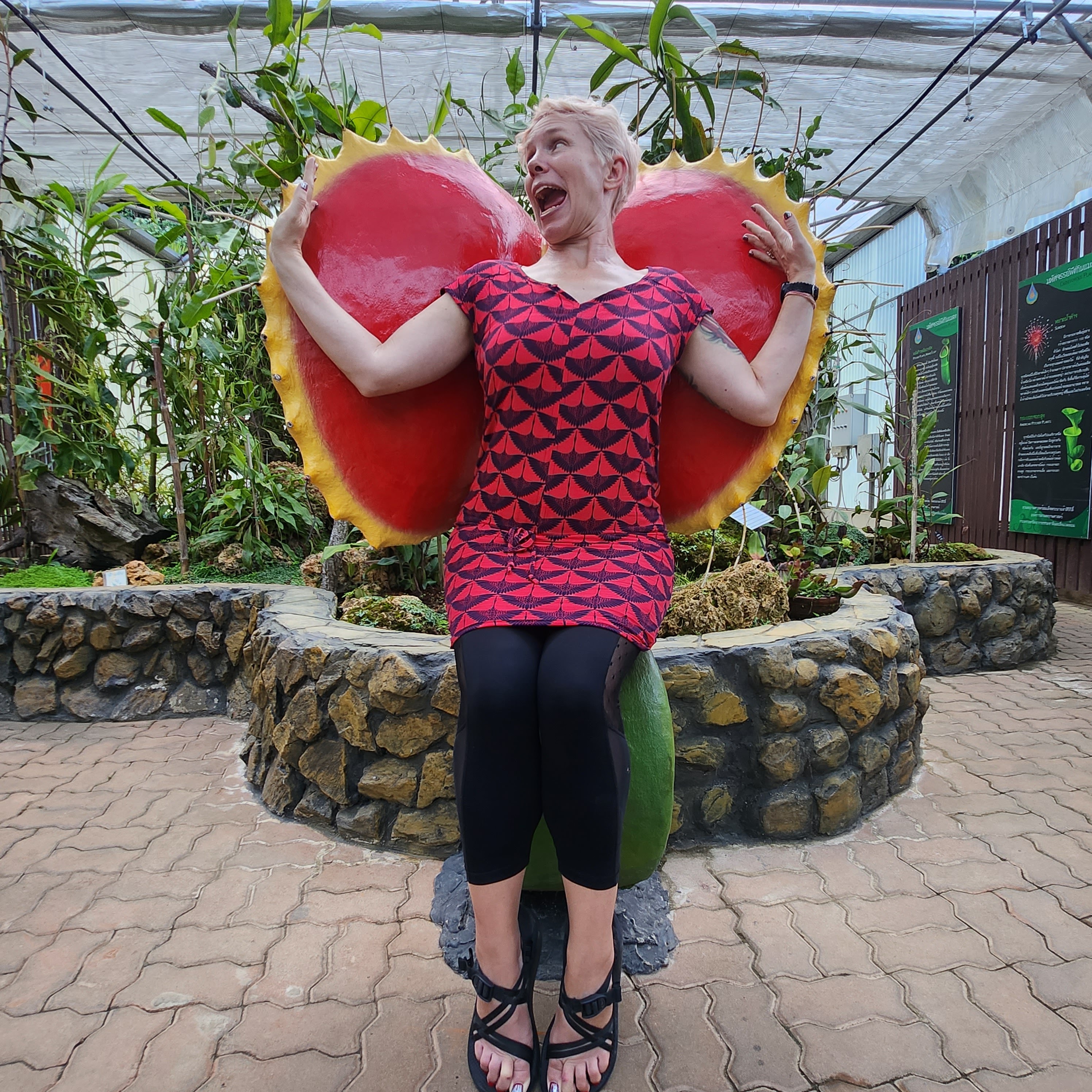 Botanical Garden Carnivorous Plants