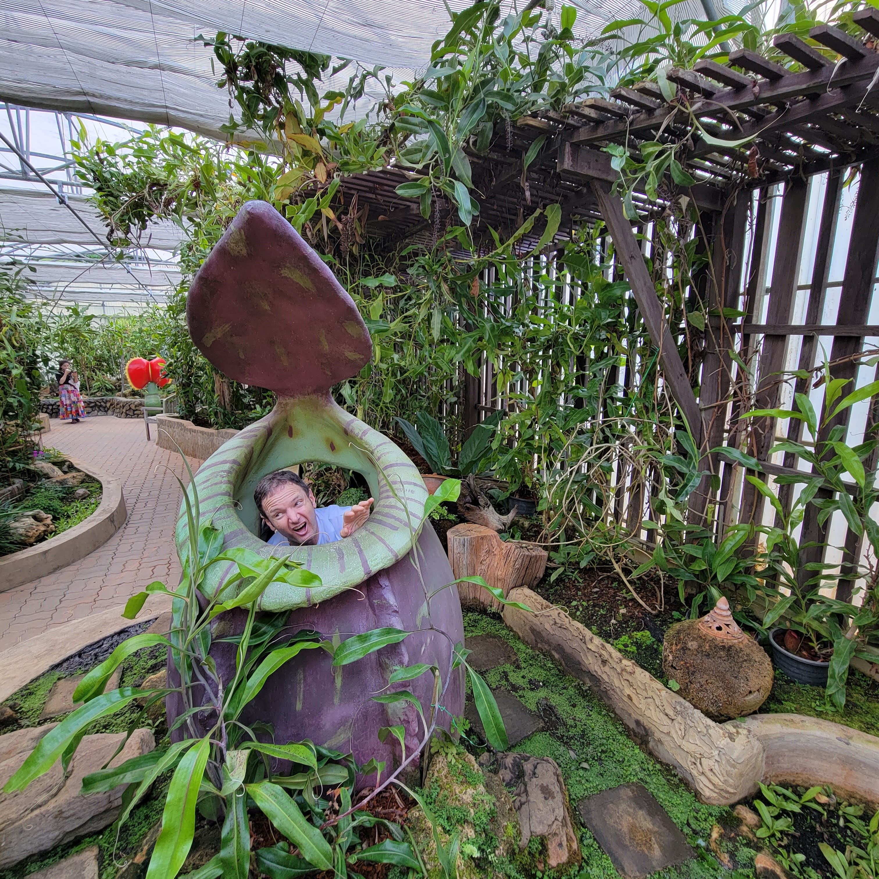 Botanical Garden Carnivorous Plants